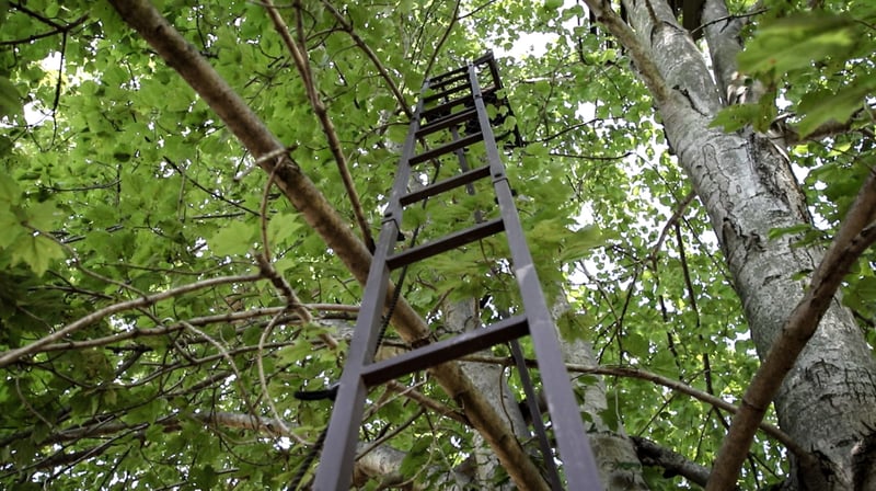 looking up at an elevated hunting stand