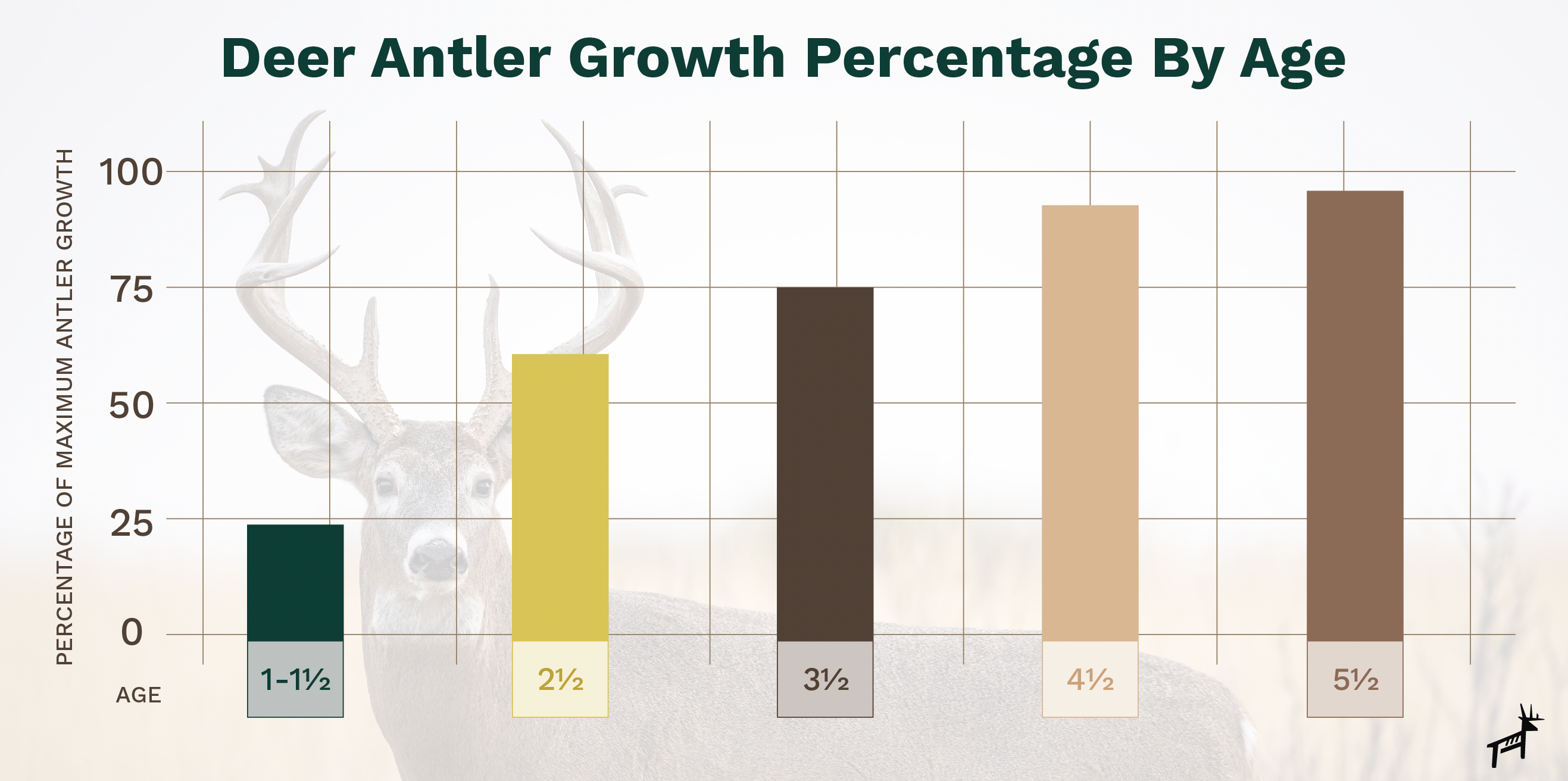 3 Most Important Factors For Deer Antler Growth   290381036 2887419668218550 2149013113326325297 N 