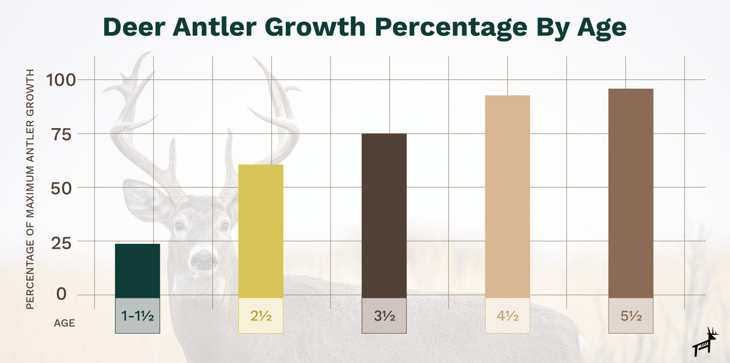 3 Most Important Factors for Deer Antler Growth