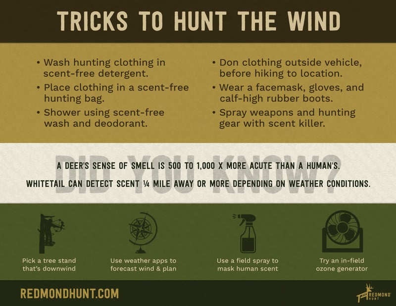 tips for deer hunting on windy days