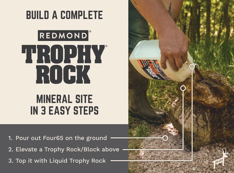 How to build a complete Trophy Rock mineral site.