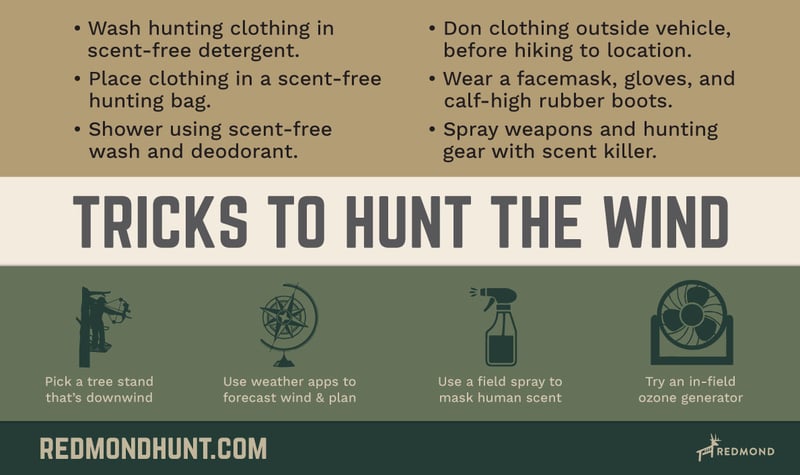 Tricks to Hunt the Wind