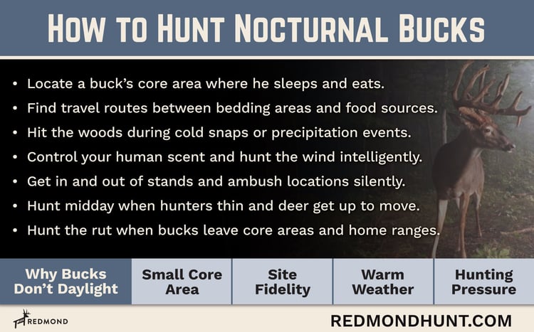 Why deer won't daylight and seven tips to hunt nocturnal bucks.