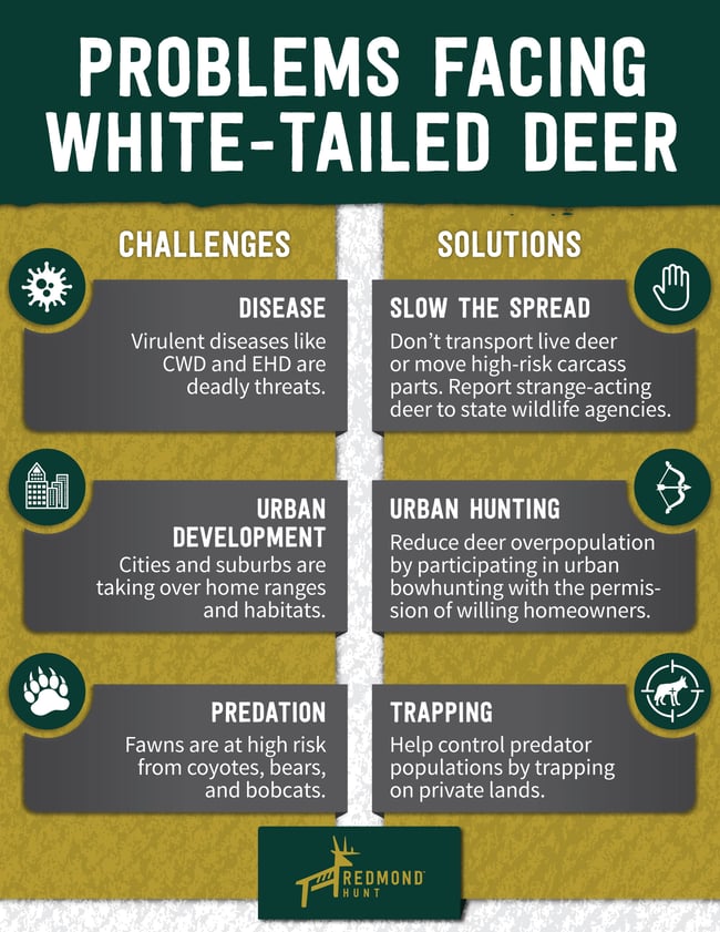 Three problems facing white-tailed deer are disease, urban development, and predation.