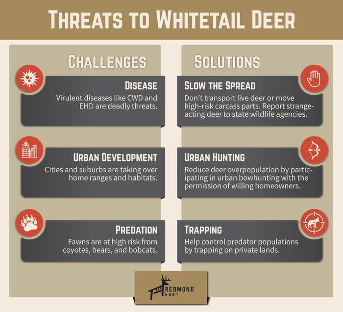 Problems and solutions to challenges facing whitetail deer.