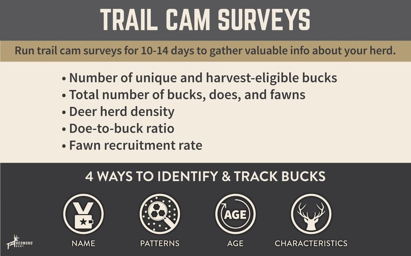 How to run a trail camera survey and data to gather.