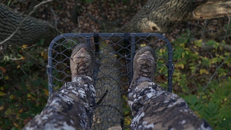 looking down from a deer hunting stand