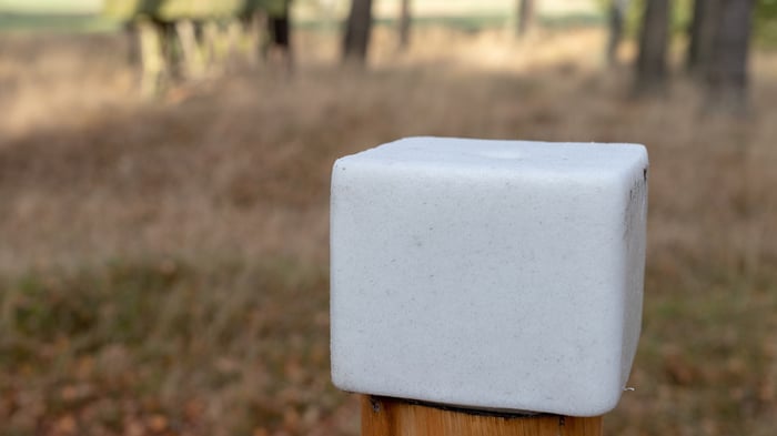 white salt block for deer