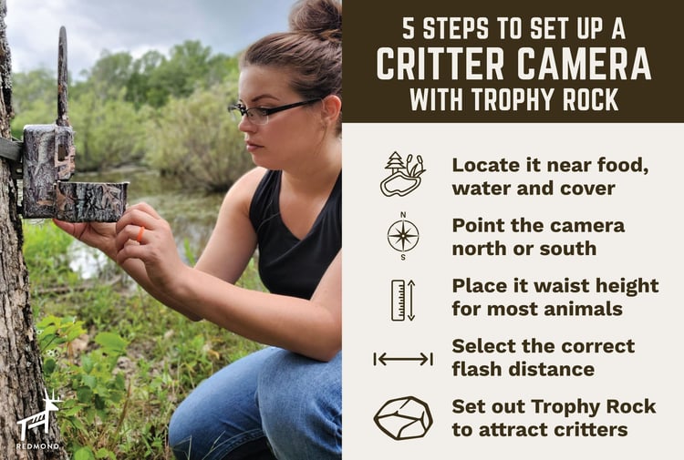 5 steps to set up a critter camera using Trophy Rock.