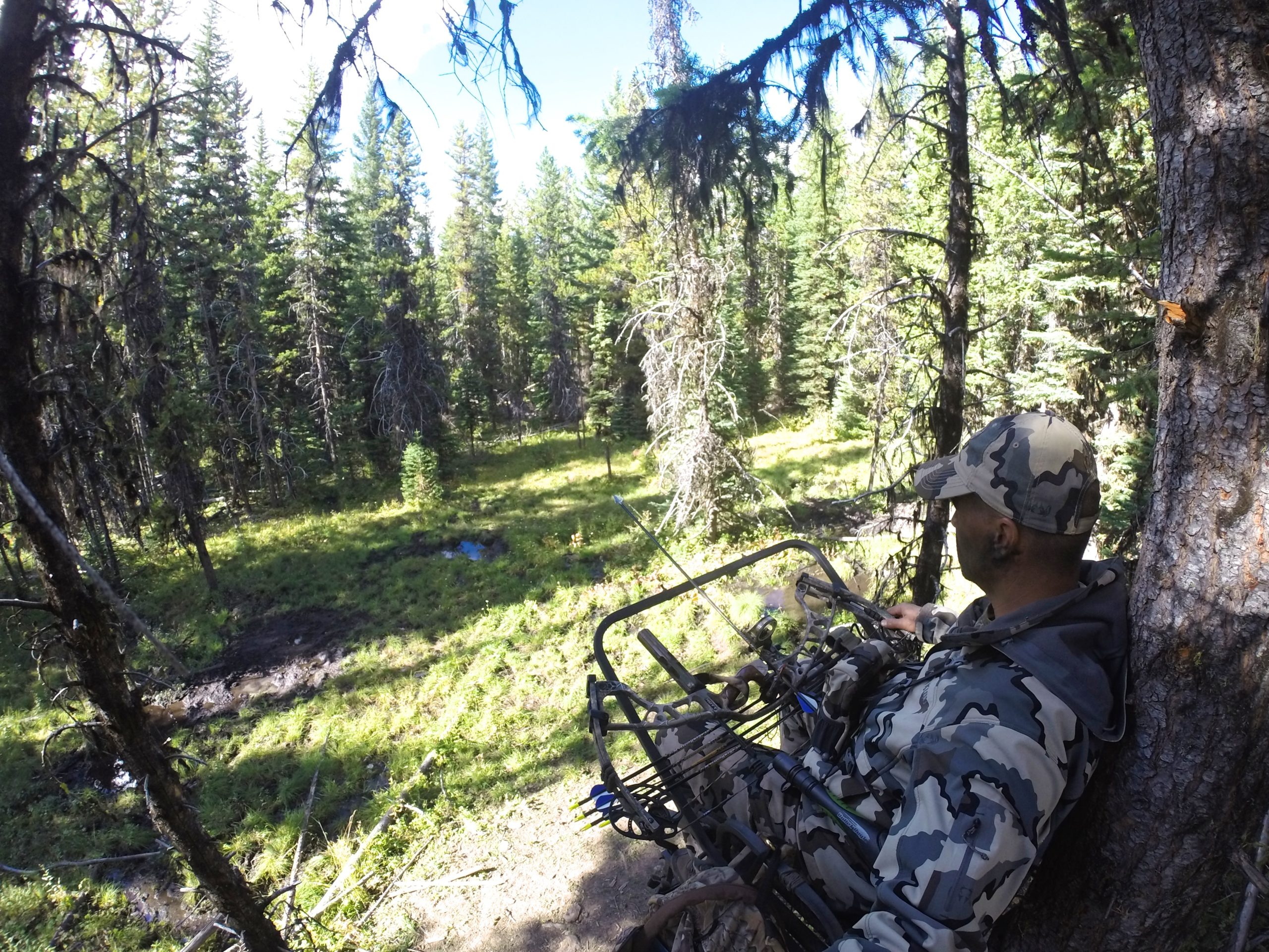 Tree Stand Safety: 6 Tips to Avoid Injury