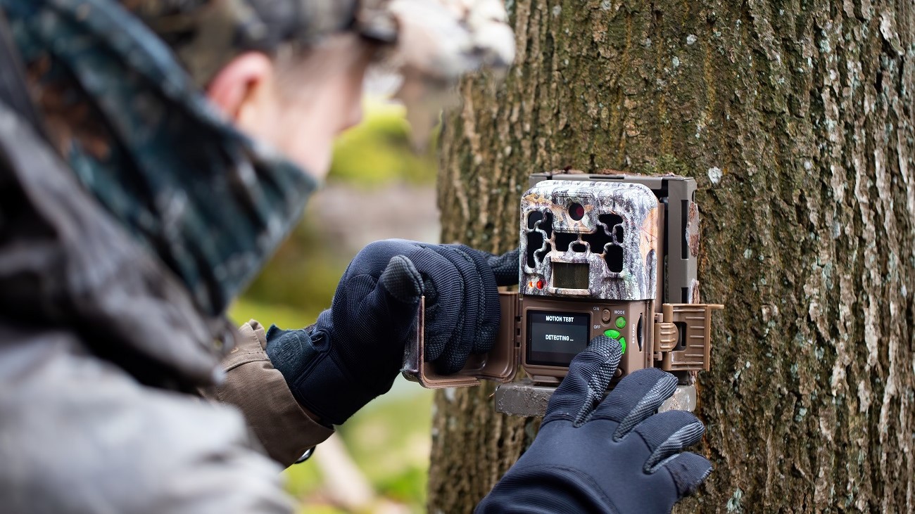 Trail Camera Surveys:  Collecting Intel on Whitetails