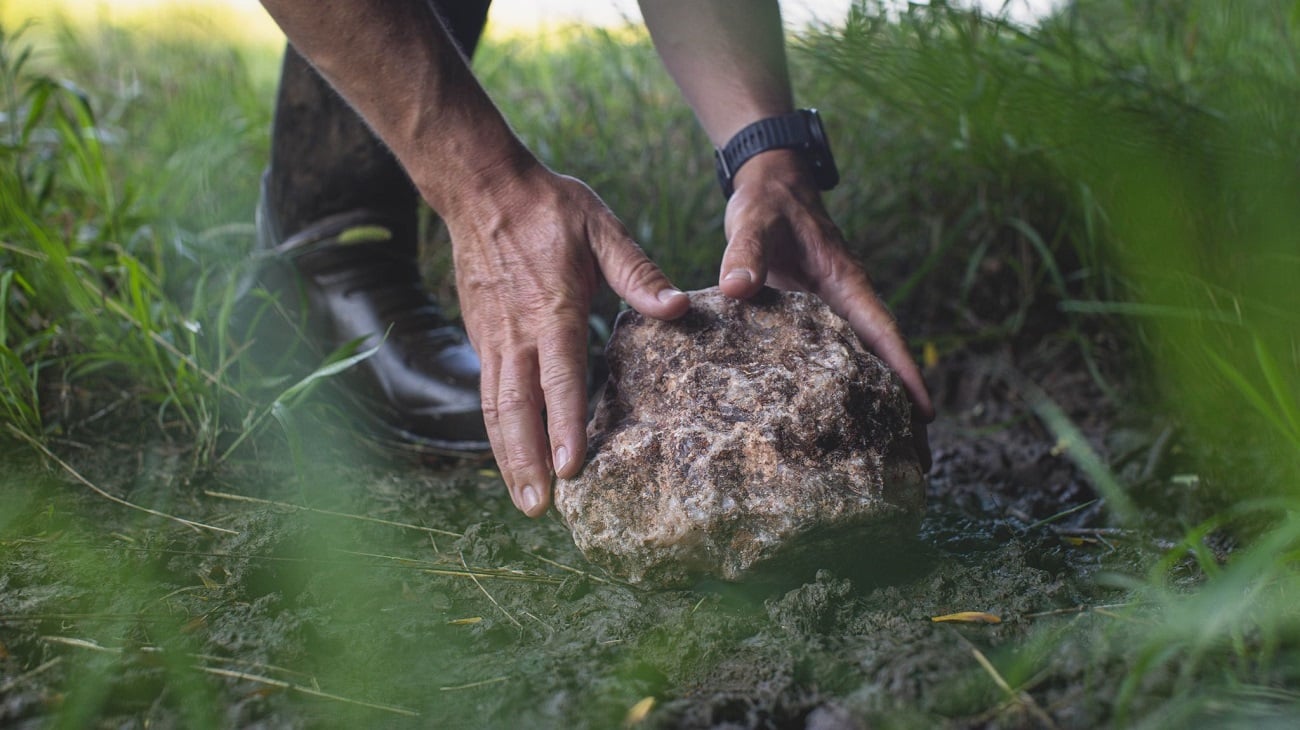 Deer benefit from the 60+ trace minerals found in Redmond Trophy Rock mineral lick.